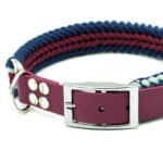 Adattatore BioThane® 19 mm per collari | Gold - immagine 3