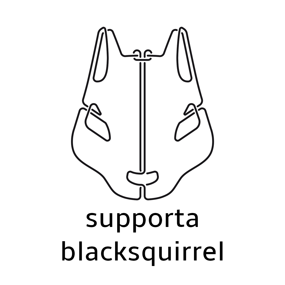 Senza titolo-1 Supporta il progetto Blacksquirrel - immagine 1